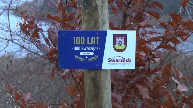 100 DRZEWEK NA 100-LECIE