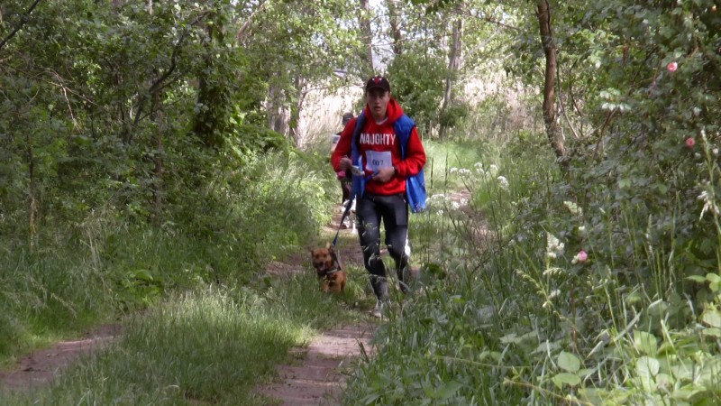 DOGTREKKING W NIEPRUSZEWIE