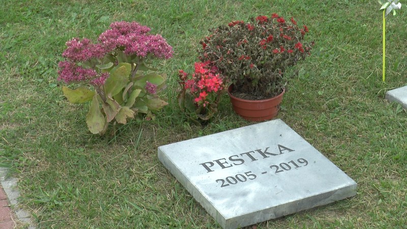 KREMATORIUM I CMENTARZ DLA ZWIERZĄT W SKAŁOWIE