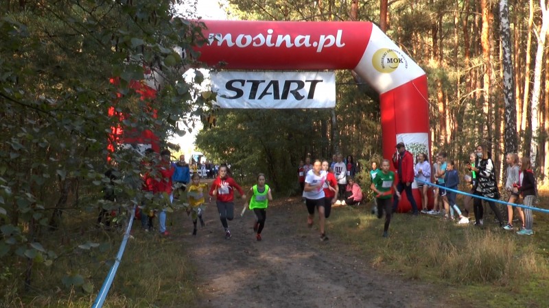 PODSUMOWANIE SPORTOWEGO WSPÓŁZAWODNICTWA SZKOLNEGO