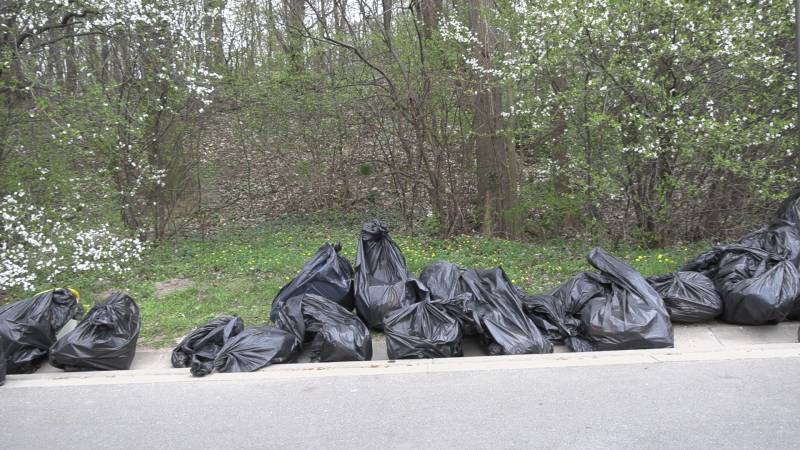 WSPÓLNE SPRZĄTANIE NAD JEZIOREM